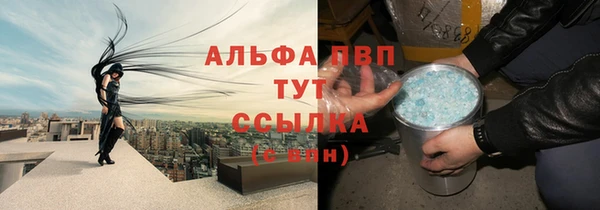 крисы Лабытнанги