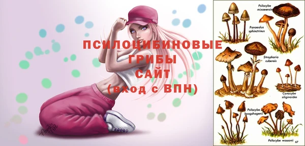 трава Лихославль